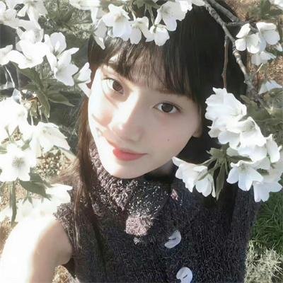 女导与强盗